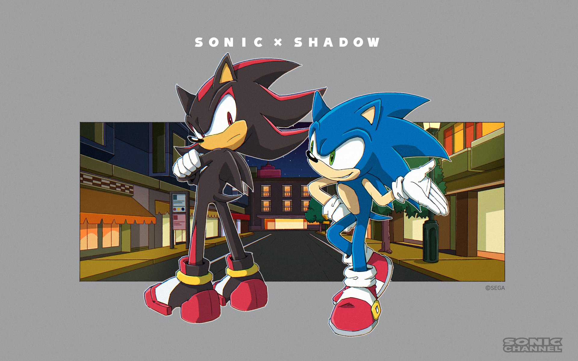 Shadow looking at Sonic