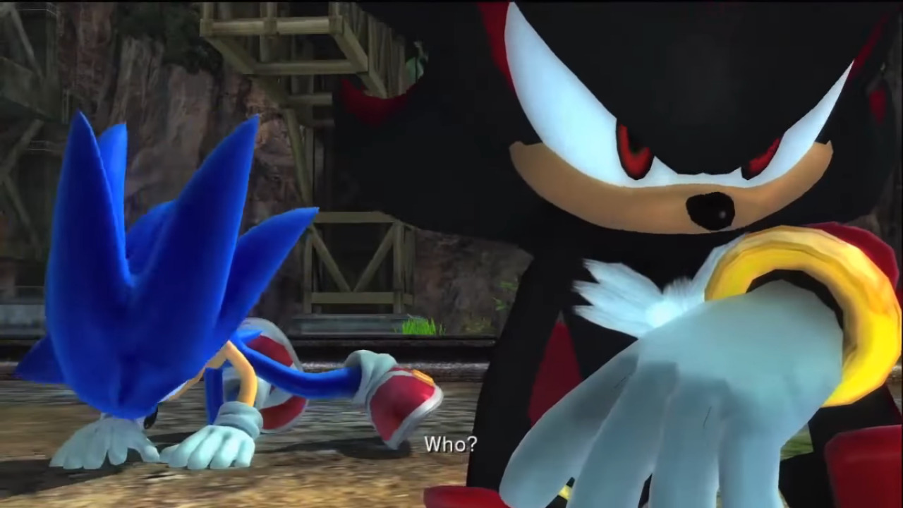 Shadow protecting Sonic